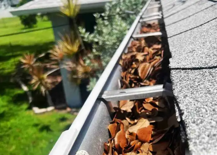 Germantown gutter cleaning home page